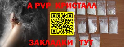jwh Бийск