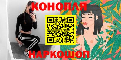 jwh Бийск