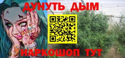 jwh Бийск