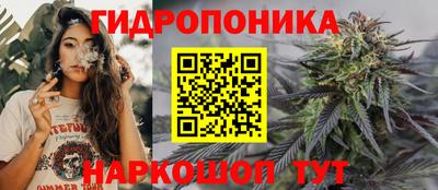 jwh Бийск