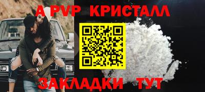 jwh Бийск