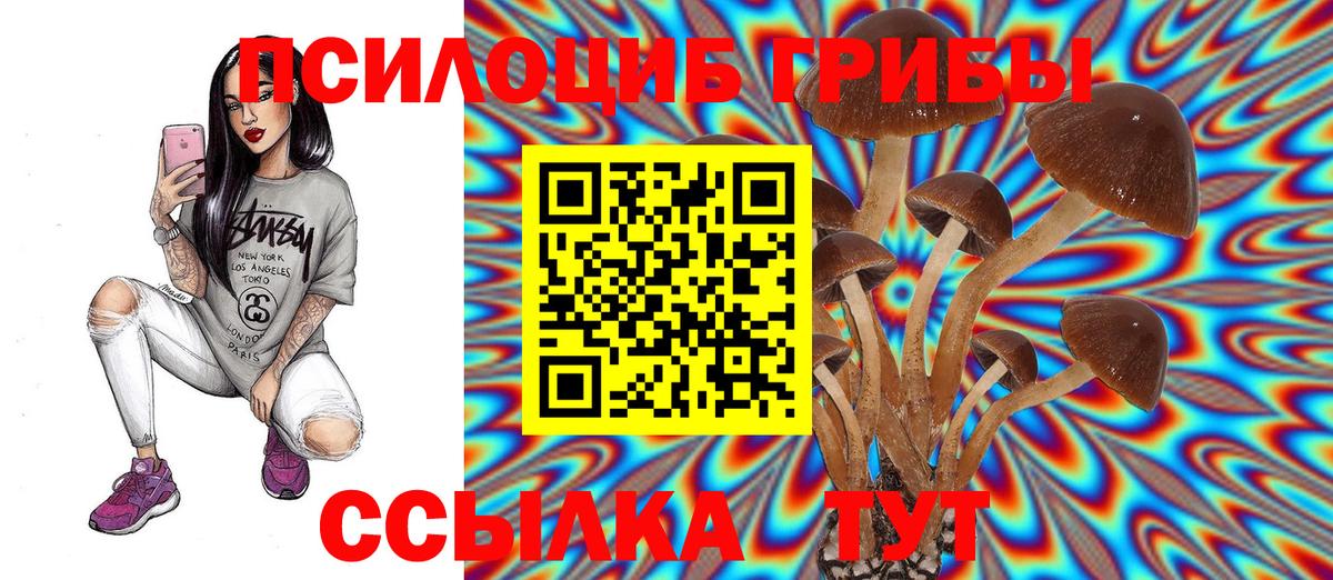 Кандалакша  Галлюциногенные грибы GOLDEN TEACHER  Вход с VPN 